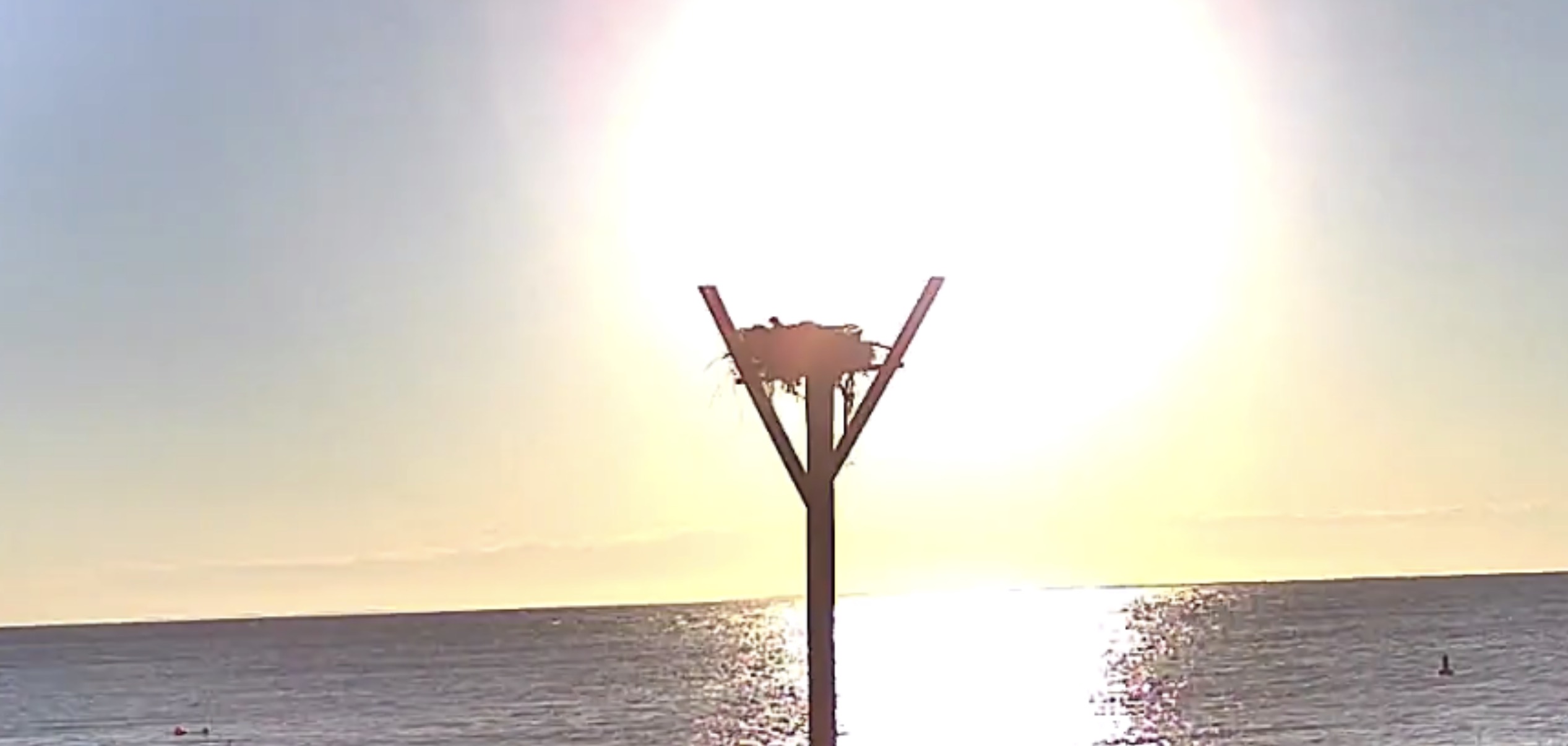 sunset in South Jersey with osprey nest over water
