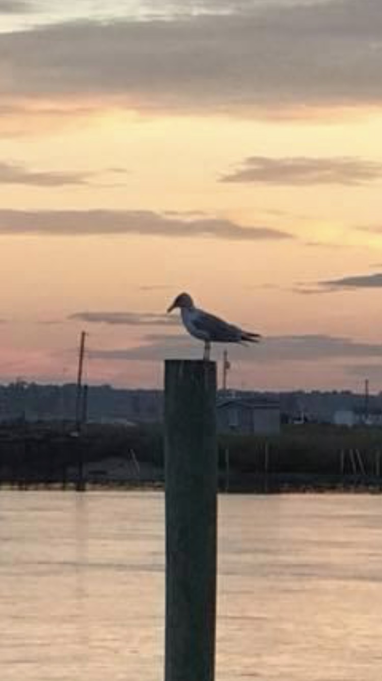 Money Left on the Table: A Cumberland County Guide